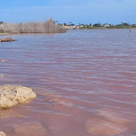 Del Sur * 托雷维耶哈