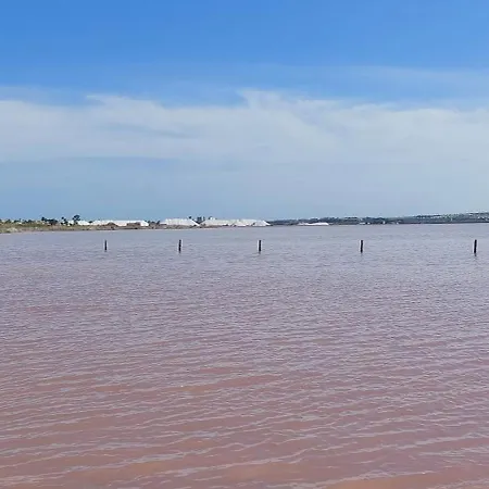 Del Sur 托雷维耶哈