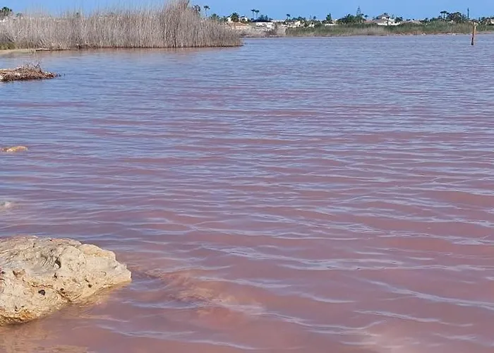 Del Sur * Torrevieja